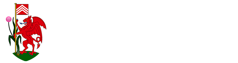 Crypto Dragon Mining